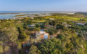 Meia Lua - Your Private Artsy Paradise Overlooking The Ria Formosa With Pool And Sea Views Near Barril Beach, Tavira